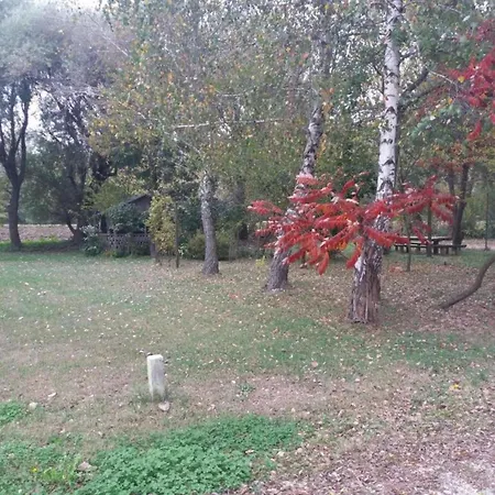 Lovely Apartment In Crikvenica With Roofed Terrace, Cleaning Included Apartment Crikvenica